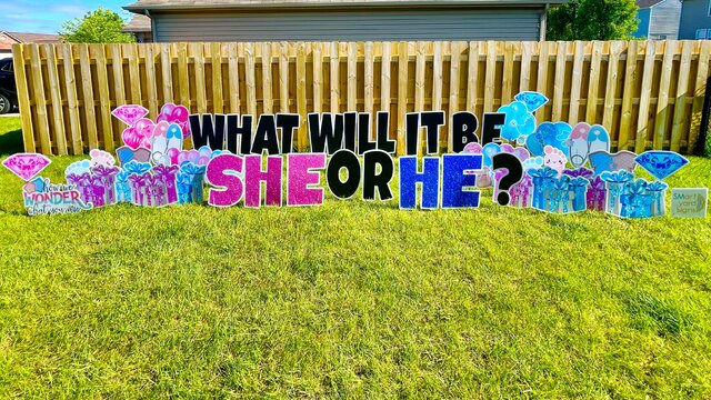 Pink and Blue Pre-Made Gender Reveal Mega Package
