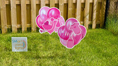 Baby Pink Balloon Set