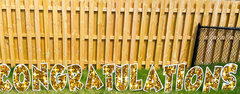 Gold Sparkle Congratulations Letters