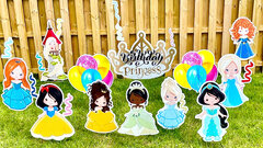 Birthday Princess Super Set