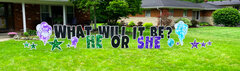 He or She - Gender Reveal