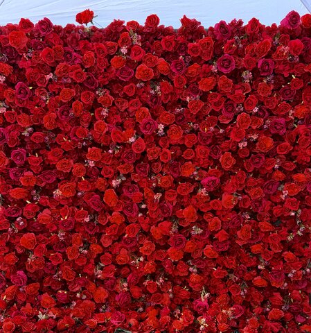 The Red Bloom Flower Wall