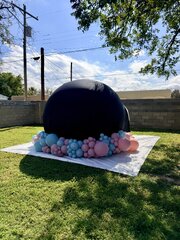 Balloon Dome Gender Reveal