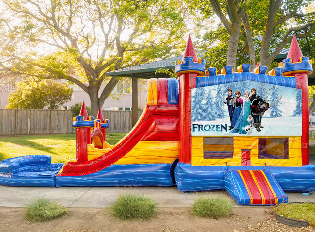 Frozen Bounce House with Double Lane Slide (DRY)