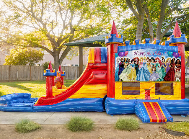 Bounce House with Princess's with Double Lane Slide (DRY)