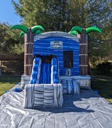 The Tropical Paradise Bounce House with Slide (DRY)