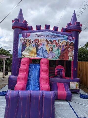 The Princess's Bounce House with Slide (DRY)