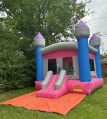 Blue/Pink Bouncer