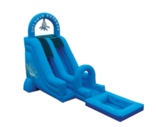 Dolphin Express Water Slide