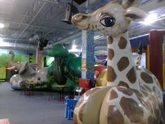 Jungle Maze Jungle Maze