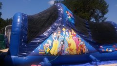 Disney Backyard Slide Disney Backyard Slide
