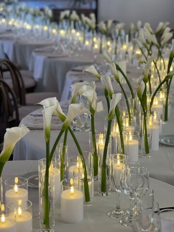 Candlelight Bloom 8ft