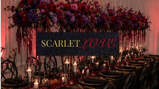 The Scarlet Love Collection