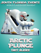 Arctic Plunge