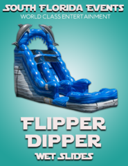 Flipper Dipper