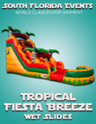 Tropical Fiesta Breeze