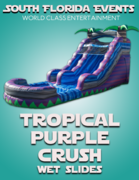 Tropical Purple Crush