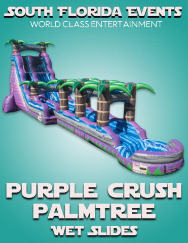 Purple Crush Palmtree