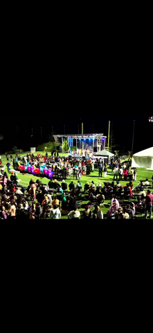 Professional staging and audio solution