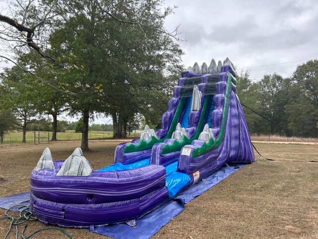 Purple Avalance (19ft Tall)