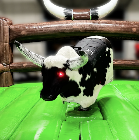 Mechanical Bull