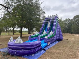 Purple Avalance (19ft Tall)