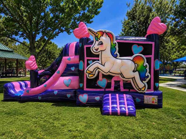 Unicorn 4N1 with Dual Lane Slide