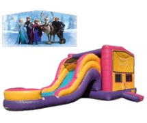 Frozen Combo Waterslide