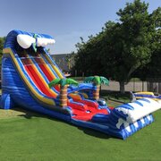 24ft Double Lane Shark Attack Waterslide and Runout (WET)