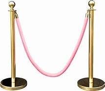 Pink Rope & Gold Stanchion