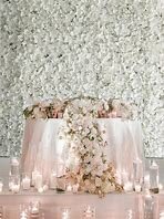 White hydrangea flower Backdrop Wall
