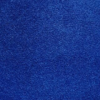  25’ Royal Blue Carpet