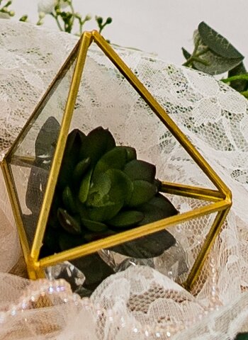 Triangle  Glass with Gold Trim Terrarium (Small) 