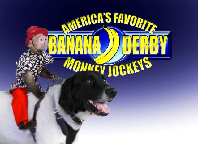 Banana Derby Show Monkey Pictures