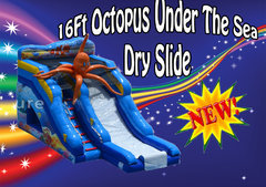 16ft Wet or Dry OctoSlide 16ft Wet or Dry OctoSlide