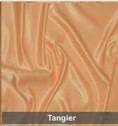 Tangier Poly Satin Dinner Napkin