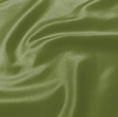 Dark Lime Poly Satin Dinner Napkin
