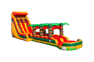 Aloha Rush Dual Lane Water Slide