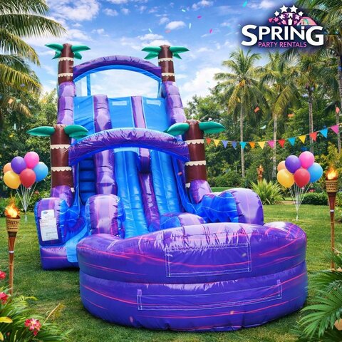 Purple Crush Dual Lane Water Slide