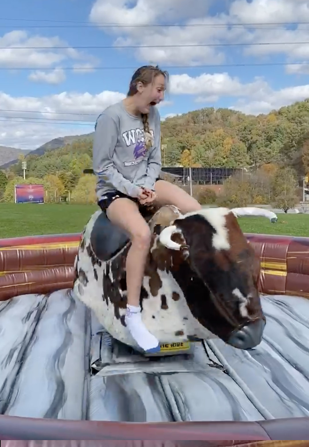 Mechanical Bull Rentals