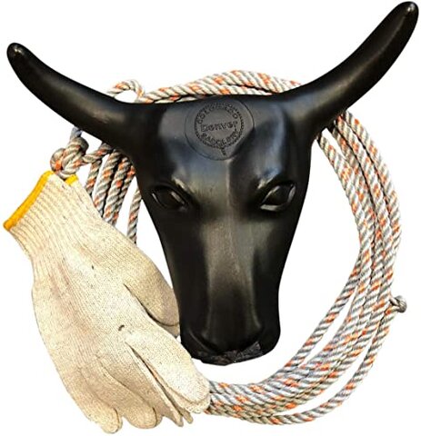 Rope n' Steer Cowboy Bull Lasso