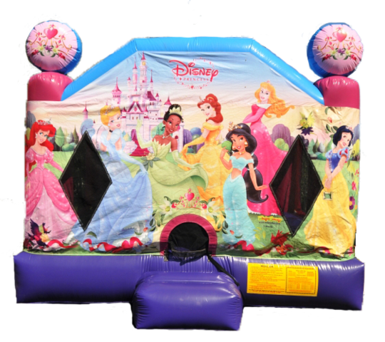 Disneys Princess Castle