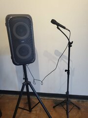 Speaker and Mic
