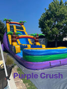 Purple Crush 