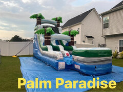 Palm Paradise 