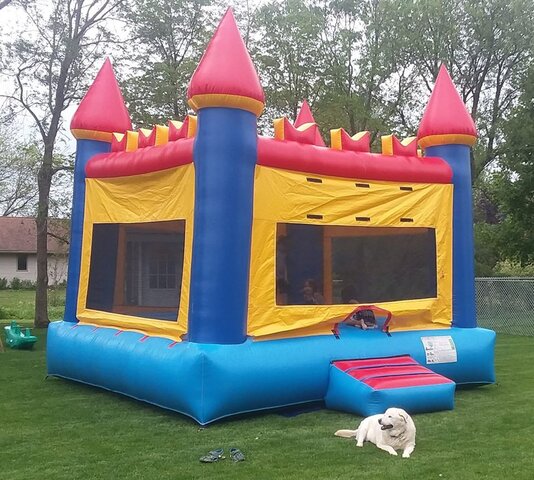 Multi Color Castle Bounce House