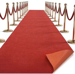 Gold Stanchion Posts & Red Rug