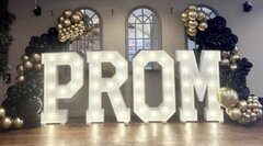 Prom Marquee w Lights 4ft