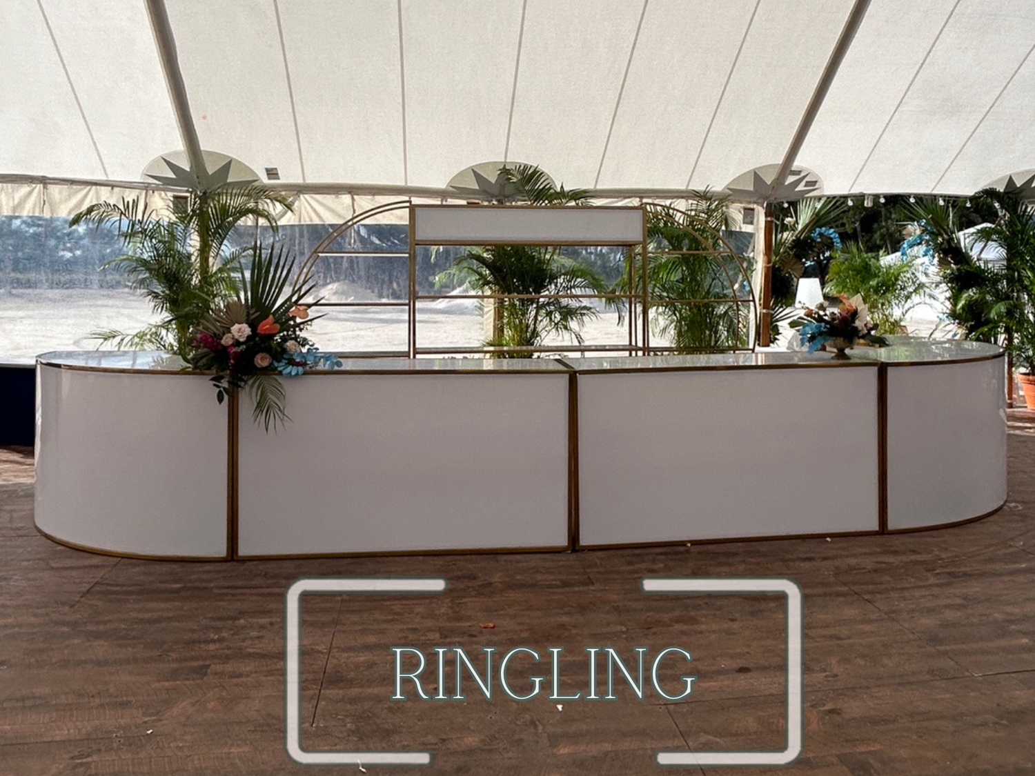 Ringling Collection