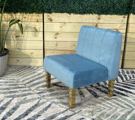 Side Chair - Rose - Gold Legs - Robin Egg Velvet